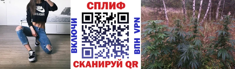 Купить  Балабаново  Каннабис Amnesia 